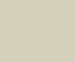 NEVVA Facade Pavia MDF 18 mm 398х537