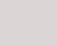 [P4438] NEVVA Facade Alea MDF 18 mm 900х2400