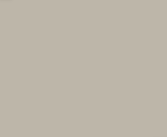 [P5831] NEVVA Facade Sacha MDF 18 mm 296х713