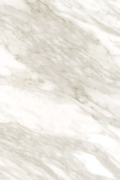 [K023SQ] Venato